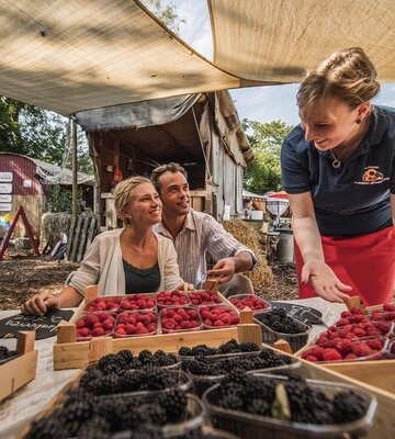Paar und Verkäuferin mit frischen Beeren auf dem Himbeerhof.