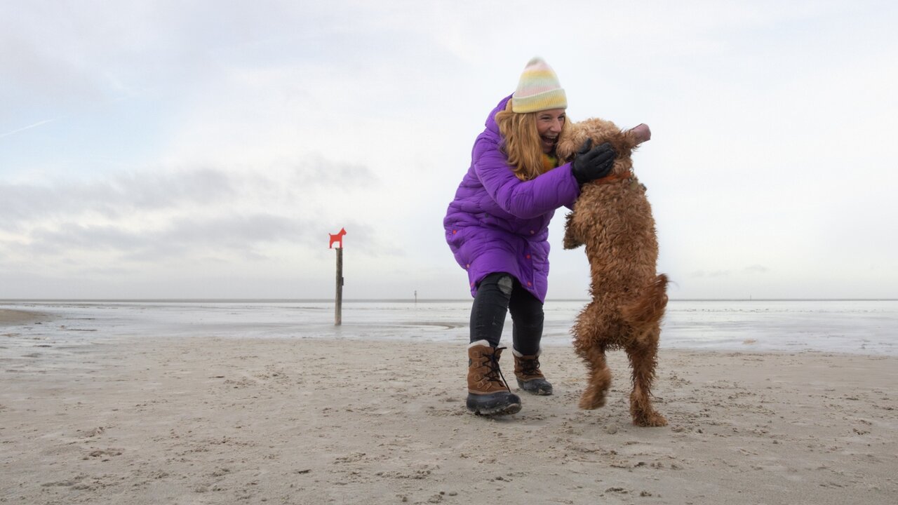 Frau in lila Jacke spielt mit springendem Hund am Strand, YouTube-Video-Thumbnail