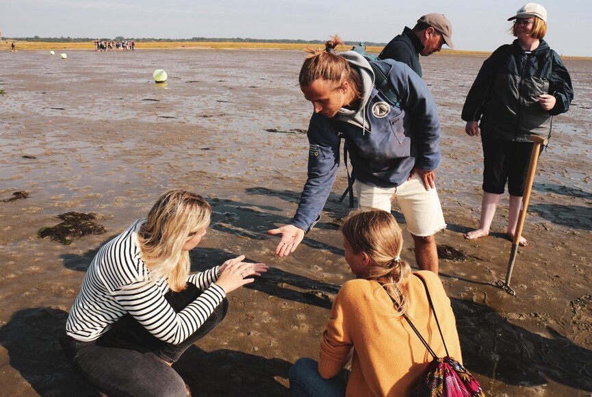 Wattwanderung am Südstrand