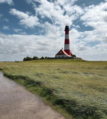 Westerhever Leuchtturm in den Saltzwiesen