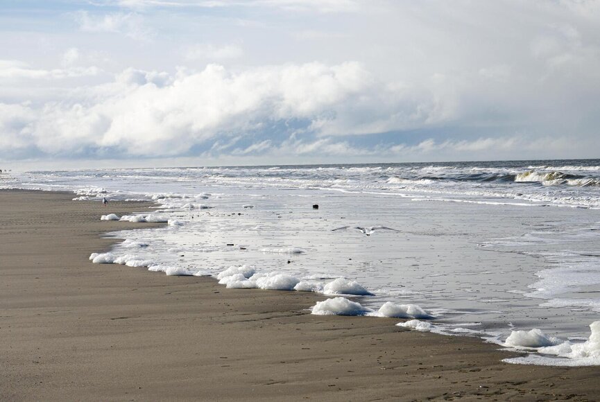 Wasserkante am Strand