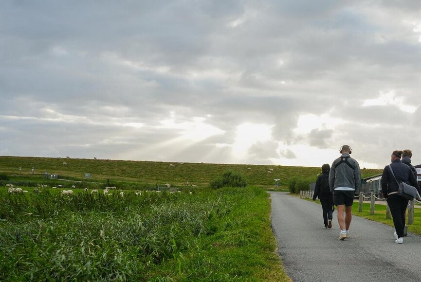 Spazieren durch Westerhever