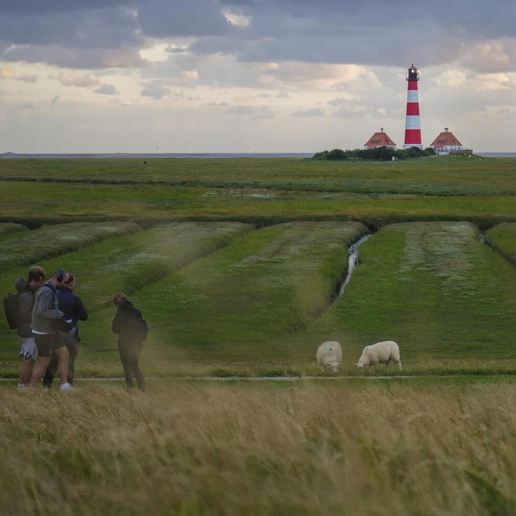 Westerhever Leuchtturm im Hintergrund, Salzwiesen und Priele davor