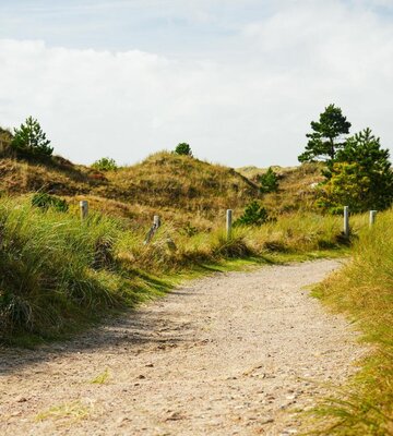 Spazierweg durch die Dünen im Ortsteil Bad
