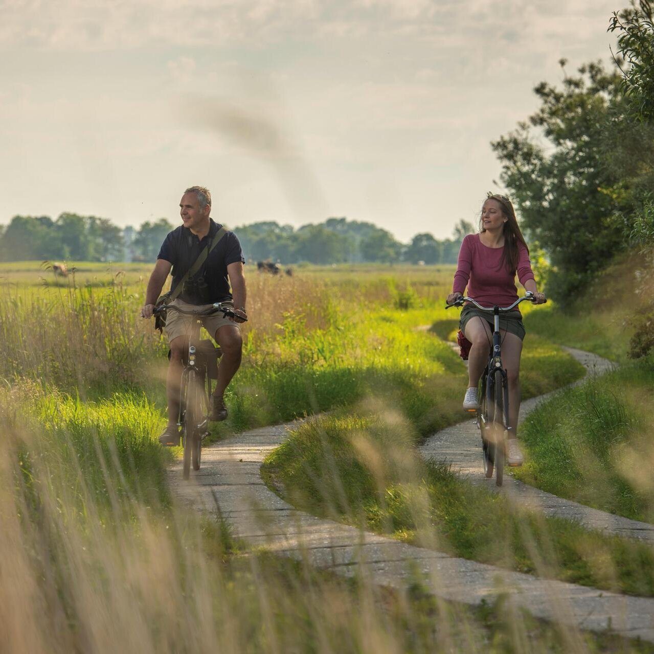 Radtour durch den Feldweg