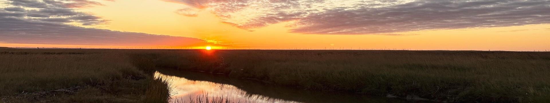 Priel durch die Salzwiesen im Sonnenungergang