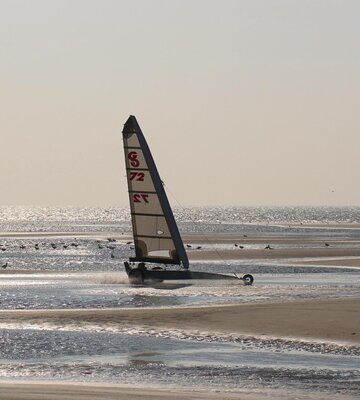 Strandsegler in den Wellen am Strand