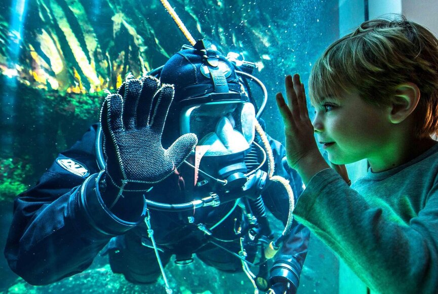 Kind und Taucher stehen sich am Glas des Aquariums gegenüber