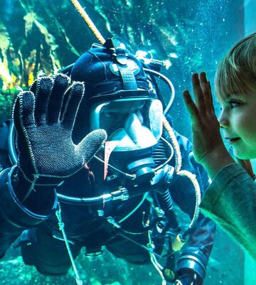 Kind und Taucher auf beiden Seiten des Aquariumfensters