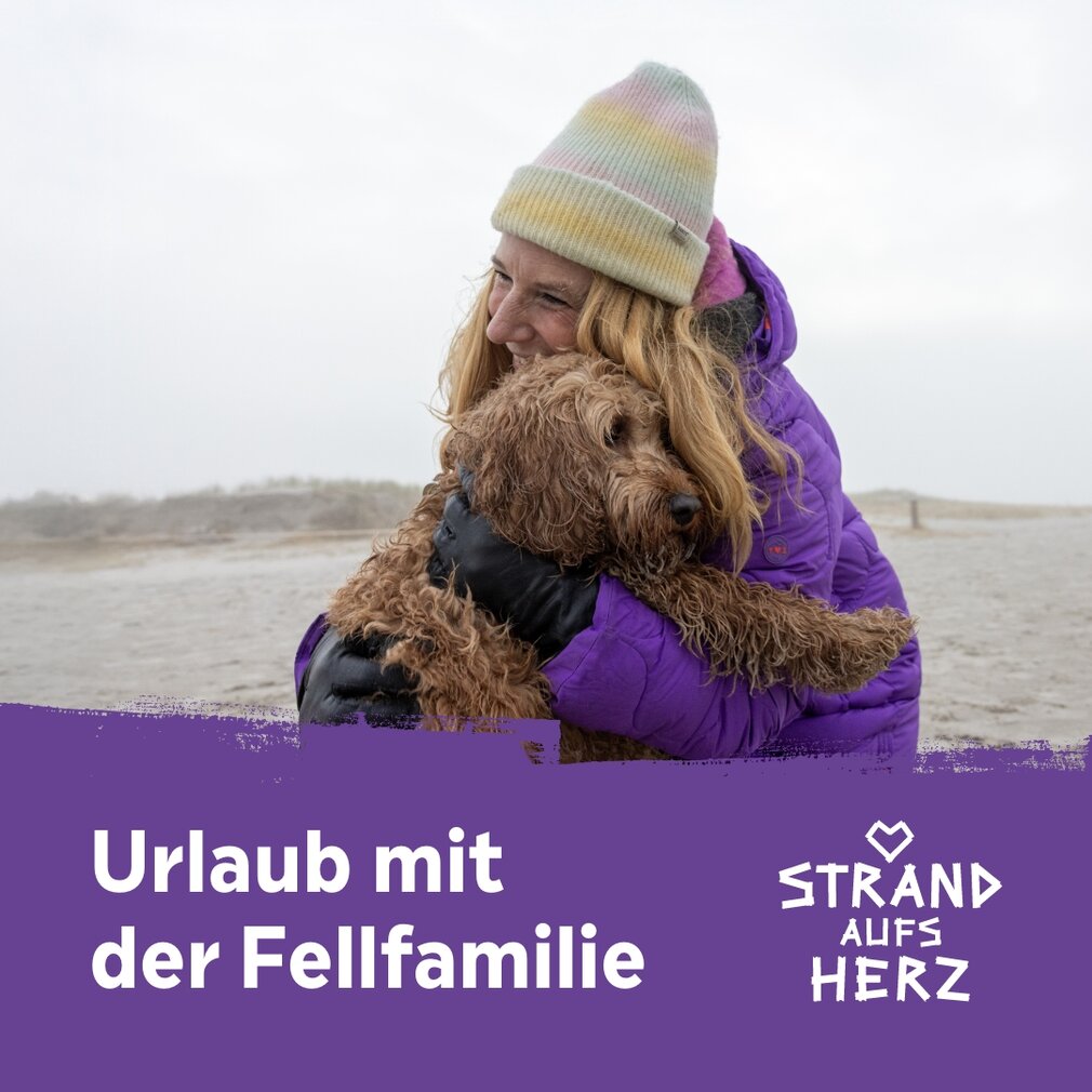 Kampagnenbild "Urlaub mit der Fellfamilie" mit Ankerlink auf Videoformat