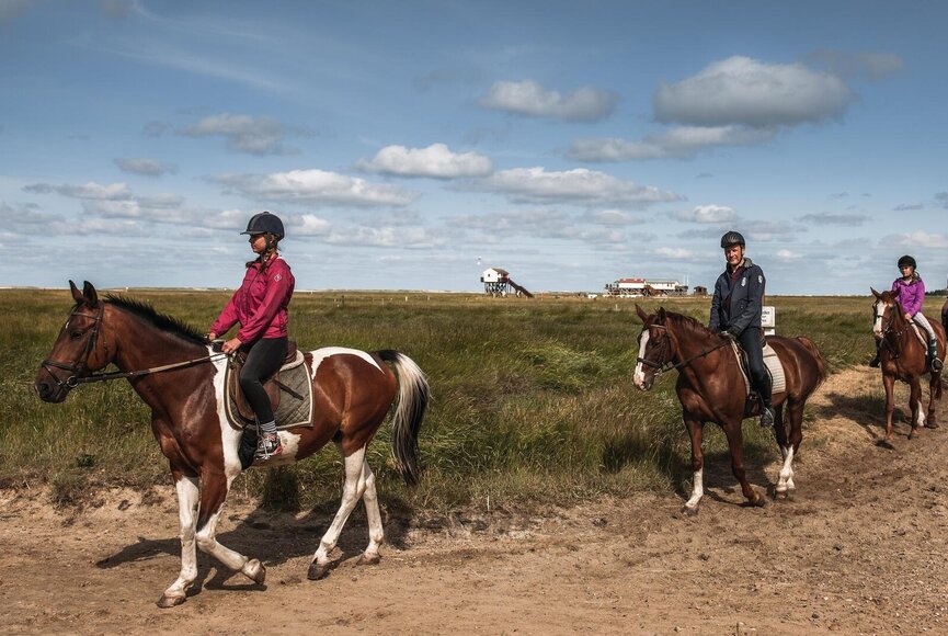 Reitgruppe auf dem Reitweg am Südstrand